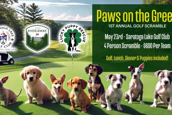 Paws on the Green